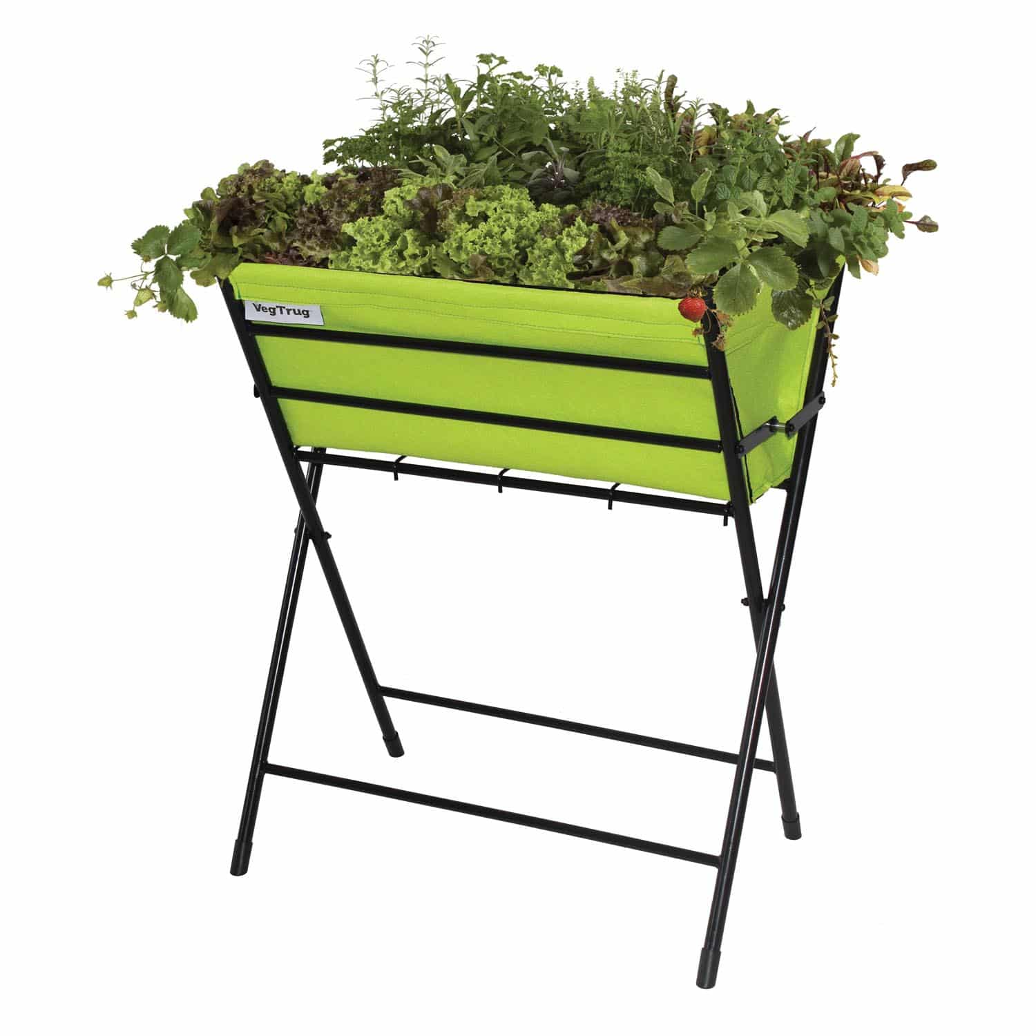 VegTrug Poppy - Lime Green