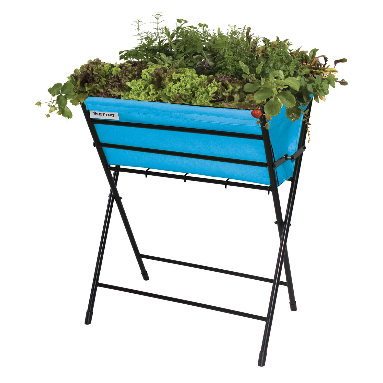 VegTrug Poppy - Pale Blue