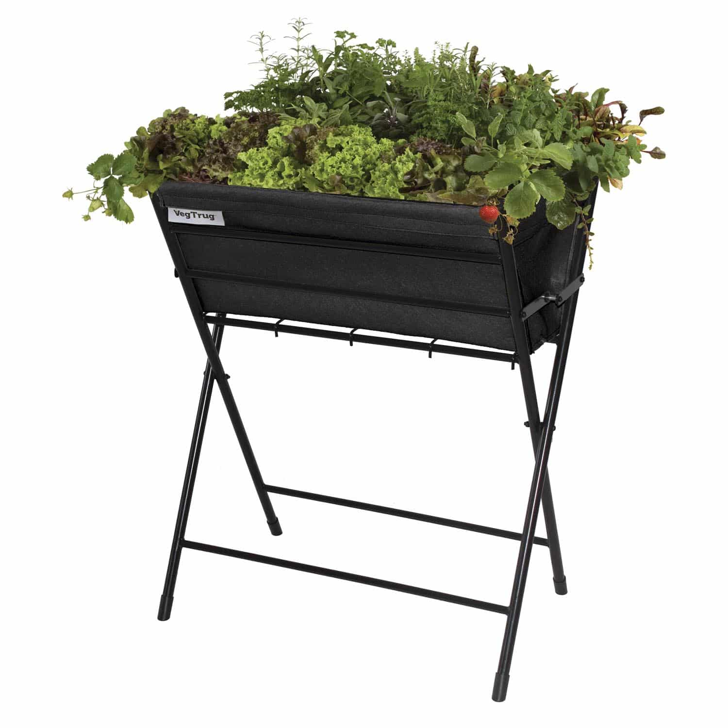 Vegtrug Poppy - Black