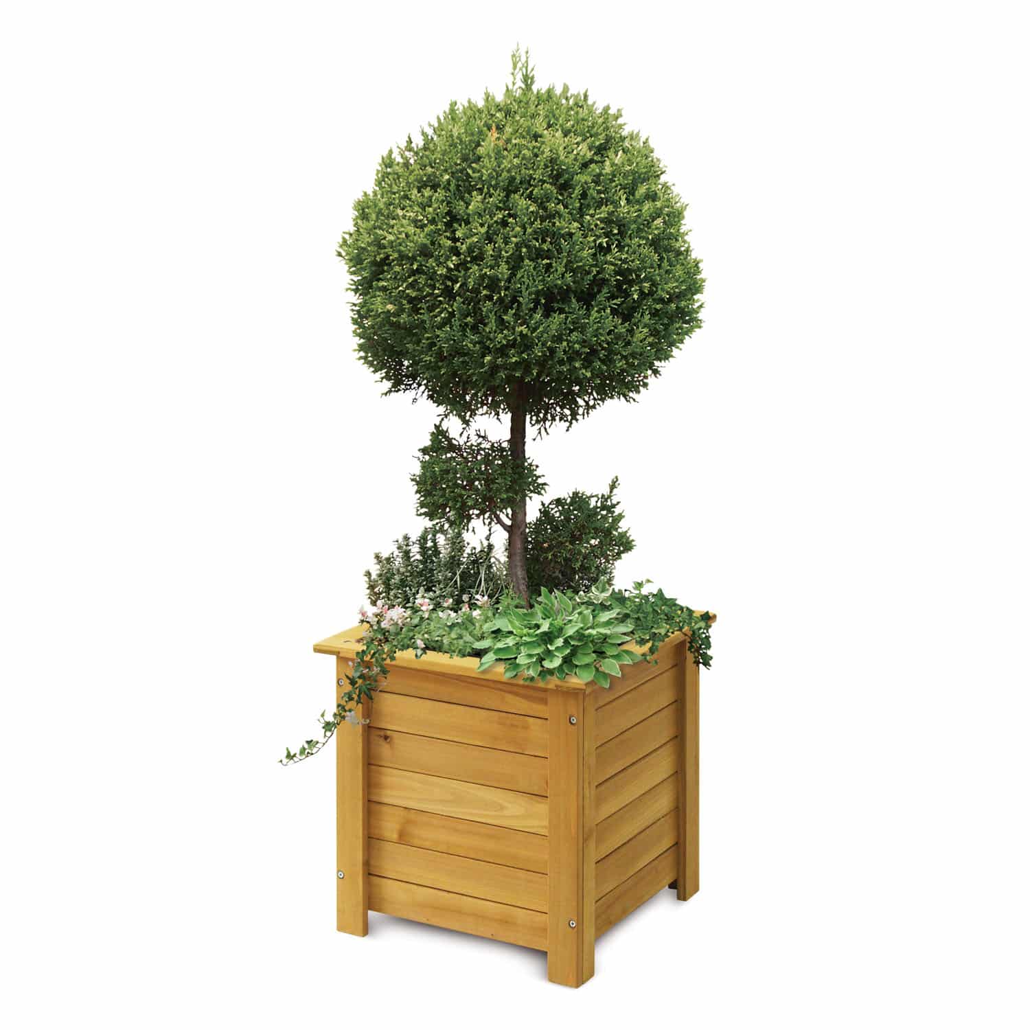 Wooden Square Box Planter - 35cm - Natural - FSC 100%